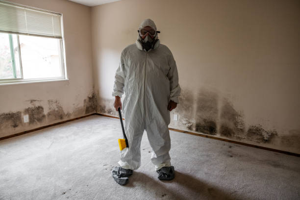 Best Fast Mold Removal  in Inman, KS